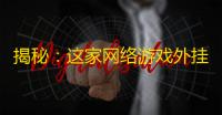 揭秘 ：这家网络游戏外挂供应商如何脱颖而出 ？